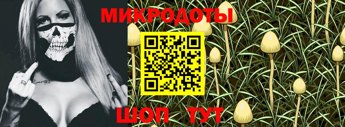 Псилоцибиновые грибы Cubensis  Псилоцибиновые грибы GOLDEN TEACHER  Прокопьевск  Вход с VPN 